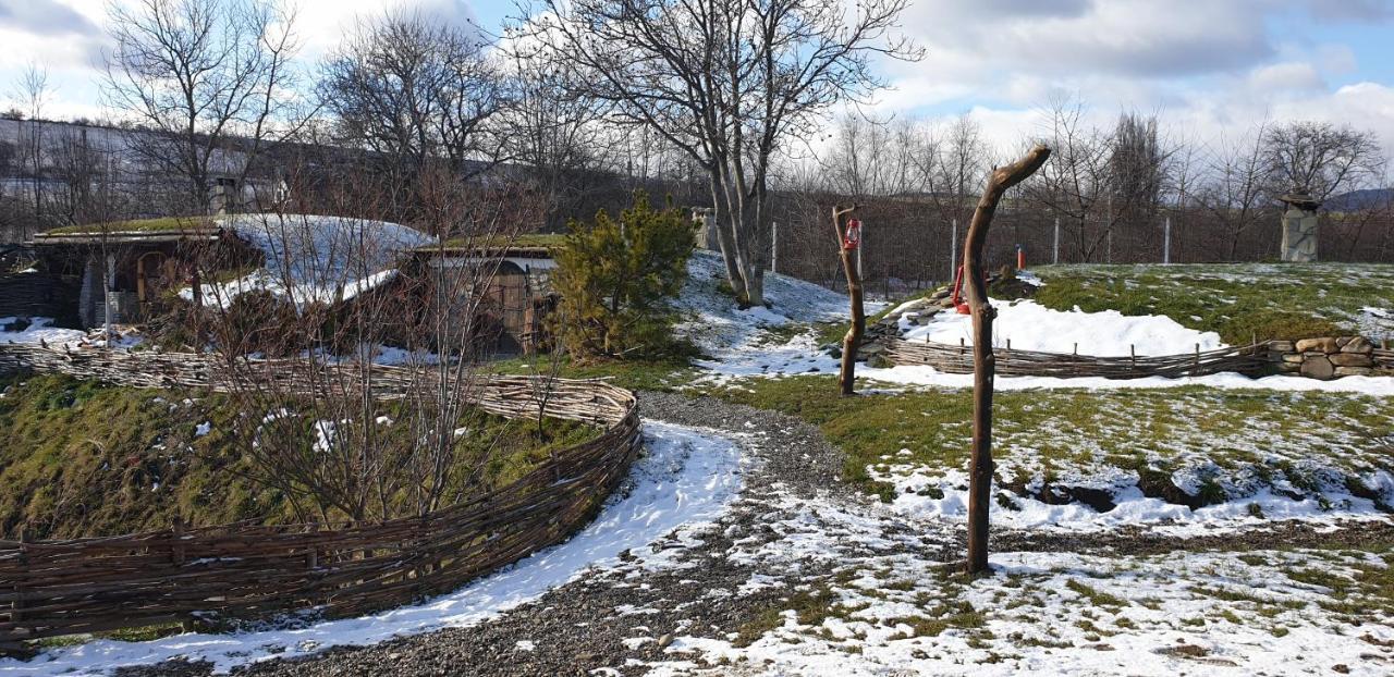 Valea Celor Doisprezece Hotel Piriu Dobreni Luaran gambar